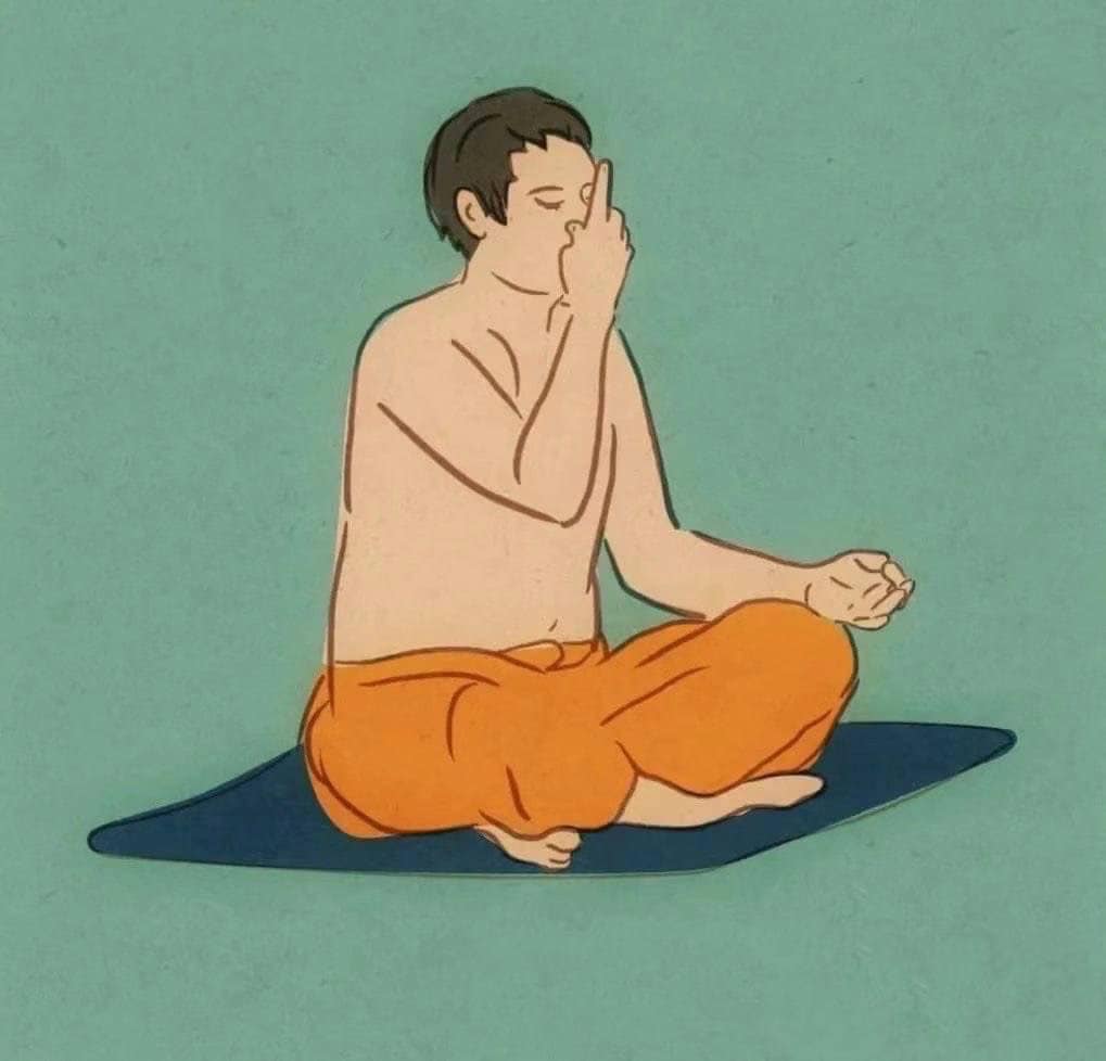 夏季这样练习瑜伽，更科学! 一定要知道! 教练培训 哈他基础 喜马拉雅瑜伽研修瑜伽培训中心 身体 健康 第 1 张