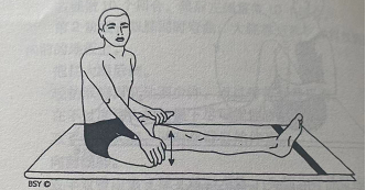 半蝴蝶式 Ardha Titali Asana (half butterfly)  半蝴蝶式 Ardha Titail half butterfly 第 1 张